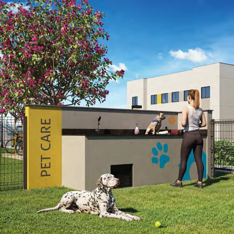 Pet Care do Porto Aurora com estação de banho