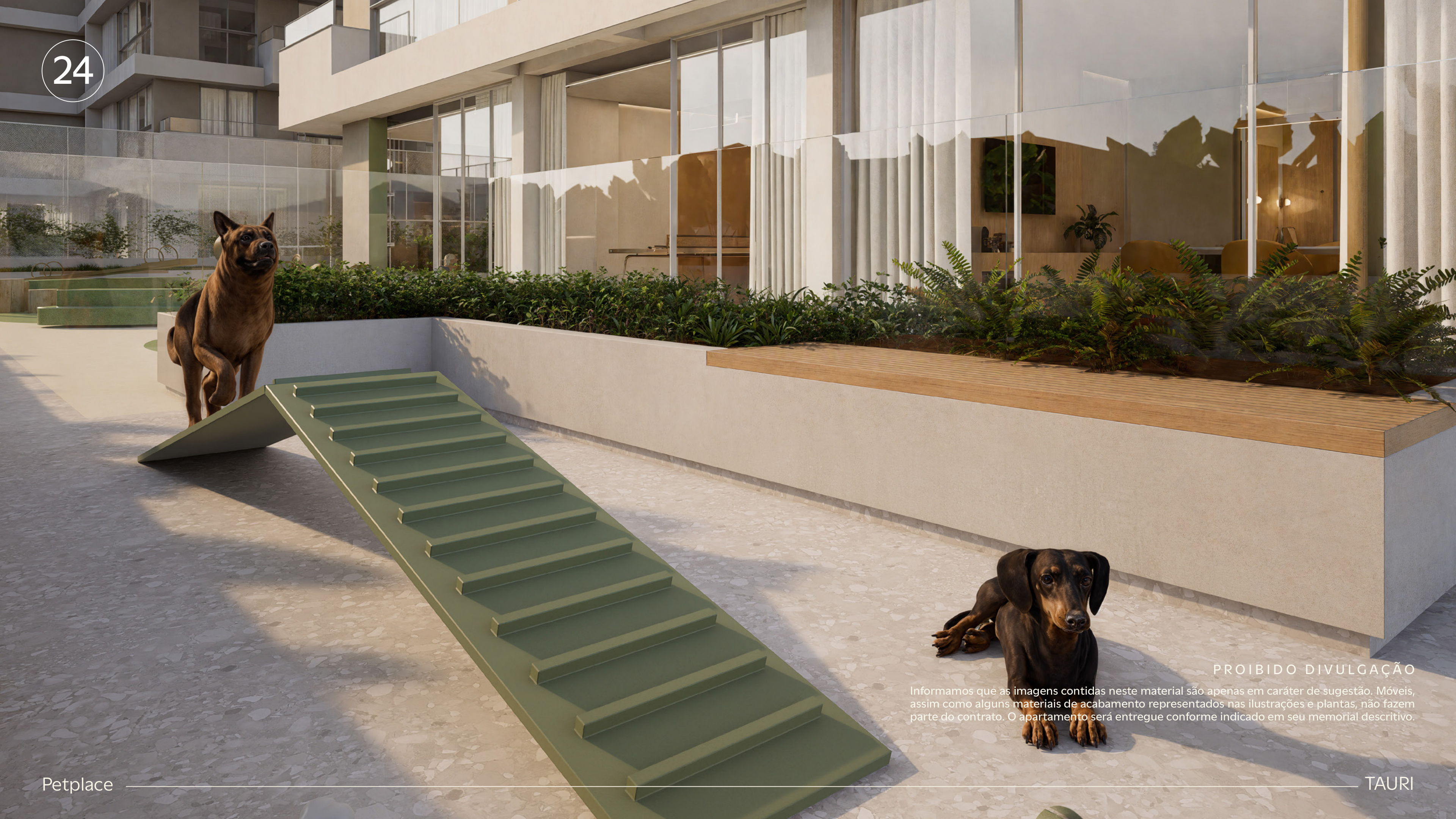 Petplace Tauri Porto Belo